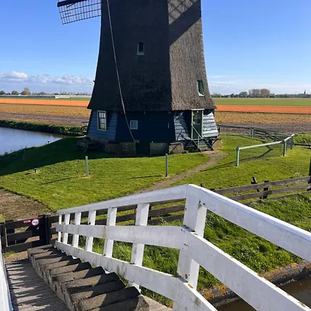 Berkmeerdijk Holiday home *