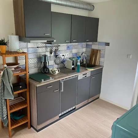 Berkmeerdijk Holiday home *